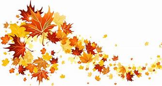 Image result for Fall Leaves Background