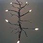 Image result for Branch Ceiling Light Fixture