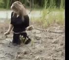 Image result for Fast Sinking in Quicksand