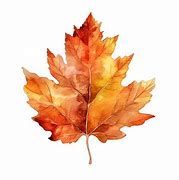 Image result for Watercolor Maple Tree with Leaf