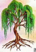 Image result for Willow Tree Design