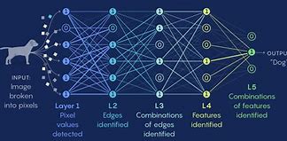 Image result for Model Generalization Neuronal Network