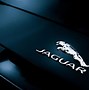 Image result for 3D Jaguar Emblem Badge Sticker