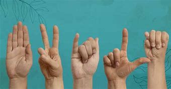 Image result for American Hand Sign Language