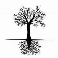 Image result for Summer Tree Drawing