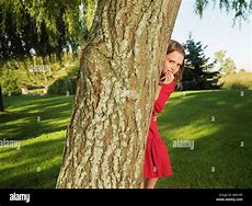 Image result for Hid Behind Tree