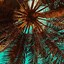 Image result for 4K Vector Art Palm Trees Wallpaper 4K