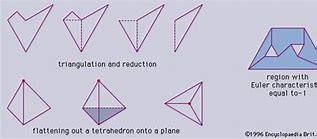 Image result for Euler Characteristic