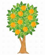 Image result for Orange Tree Clip Art