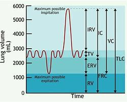 Image result for Lung Cancer Graph