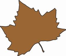 Image result for Logo Pohon Maple Vector