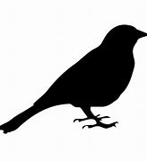 Image result for Bird Silhouette Animation Sheet