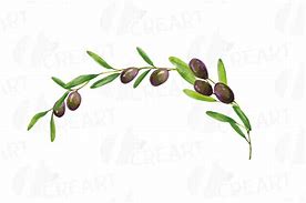 Image result for Watercolor Olive Branch Clip Art