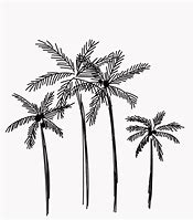 Image result for Palm Tree Outline Vector Art