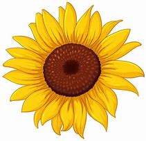 Image result for Yellow Sunflower Clip Art