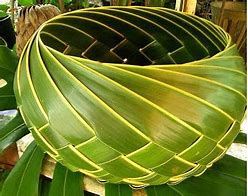 Image result for Amazing Leaf Art