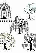 Image result for Willow Tree Design