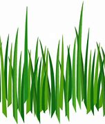 Image result for Cartoon Grass Background PNG