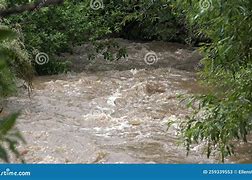 Image result for Raining at the Creek