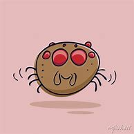 Image result for Funny Jumping Spider