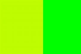 Image result for Neon Green Paint Color