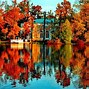 Image result for Fall in CT