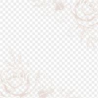 Image result for Modern 14 Beige Rose