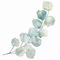 Image result for Watercolor Leaves BG