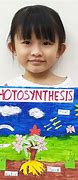 Image result for Photosynthesis Equation Simple