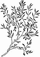 Image result for Olive Tree Silhouette Clip Art