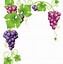 Image result for Grapes Clip Art Free Download