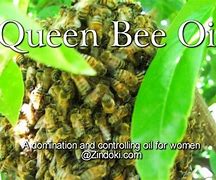 Image result for Animated Queen Bee