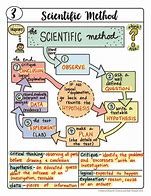 Image result for Scientific Method