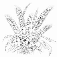 Image result for Harvest Crafts