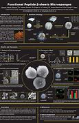 Image result for Scientific Poster Sizes