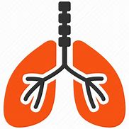 Image result for Respiratory Icon