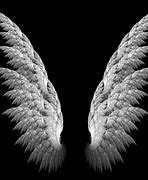 Image result for Wings Background Images for Editing