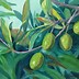 Image result for Very Fancy Olive Branch