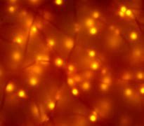 Image result for Black Orange Neon Background