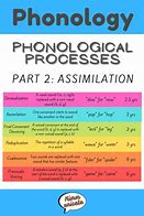 Image result for Types of Phonological Processes