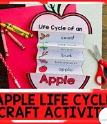 Image result for Apple Life Cycle Clip Art