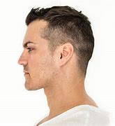 Image result for Male Face Anatomy 3 Sides