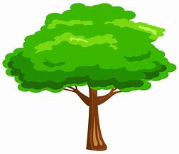 Image result for Green Tree Park Clip Art