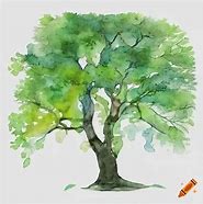 Image result for Ash Tree Twig