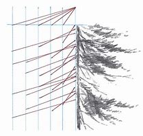 Image result for Right Angle Tree Branch