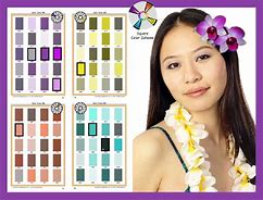 Image result for Square Color Palette