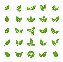 Image result for Leaf Vector Illustration