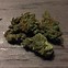 Image result for Pink Kush Strain