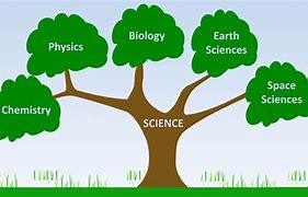 Image result for biology branches science