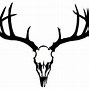 Image result for Mule Deer Skull Clip Art